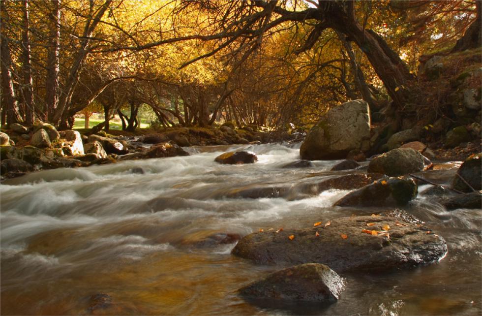 Los colores del Otoño